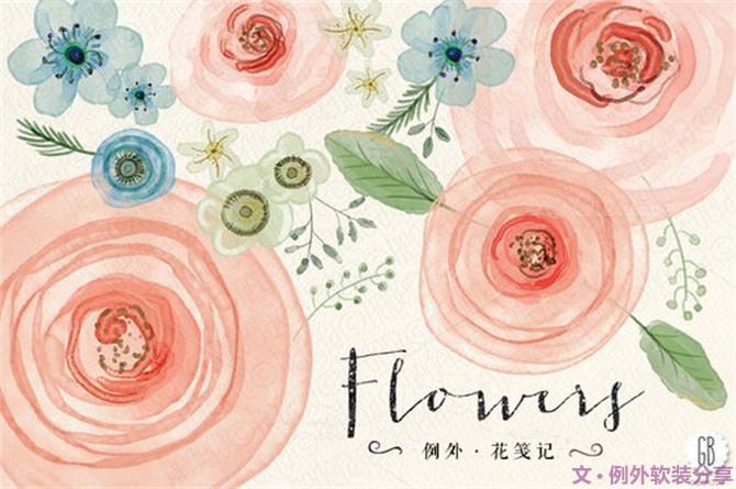 【例外.花箋記】洋牡丹，花叢中的人氣精靈